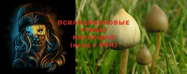 каннабис Алексеевка